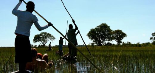 Günstige Botswana Gruppenreisen für 18 - 39 jährige 2019 ab € 734.0 | Erlebnisrundreisen.de