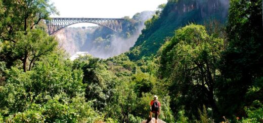 Günstige Botswana Gruppenreisen für 18 - 39 jährige 2019 ab € 1484.0 | Erlebnisrundreisen.de