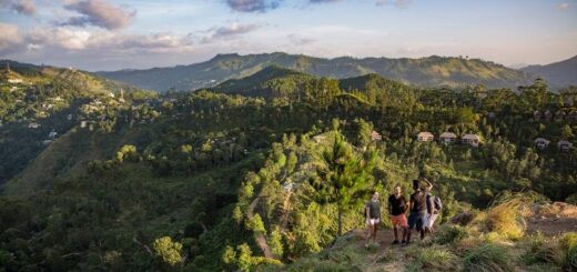 Günstige Sri Lanka Gruppenreisen für 18 - 39 jährige 2019 ab € 699.0 | Erlebnisrundreisen.de