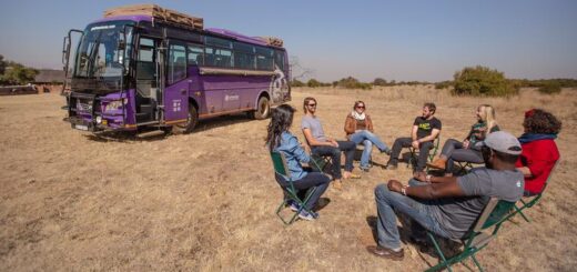 Günstige Botswana Gruppenreisen für 18 - 39 jährige 2019 ab € 6999.0 | Erlebnisrundreisen.de