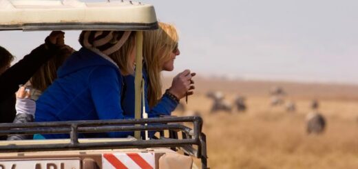 Günstige Kenia Gruppenreisen für 18 - 39 jährige 2019 ab € 3875.0 | Erlebnisrundreisen.de