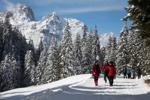 Winterwandern in den Alpen - Oliver Schulz