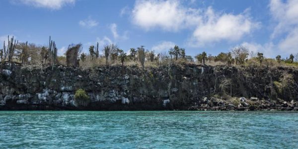 Ecuador Segelreise | Tinta Tours Erlebnisreisen