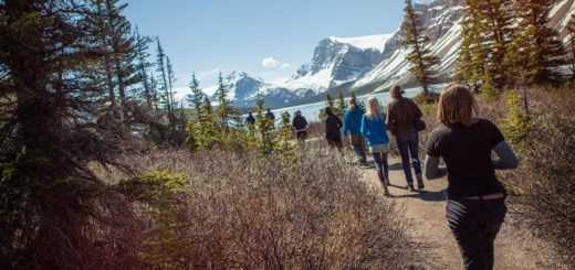12-Tage-Adventure-Trip Discover the Canadian Rockies - Westbound | Erlebnisrundreisen.de