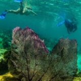 9-Tage-Adventure-Trip Explore Belize | Erlebnisrundreisen.de