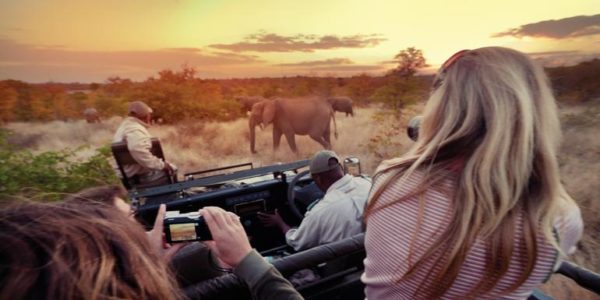 7-Tage-Adventure-Trip Explore Kruger National Park