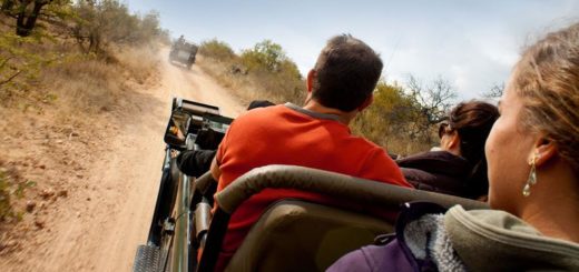 9-Tage-Adventure-Trip Explore Kruger & Victoria Falls | Erlebnisrundreisen.de