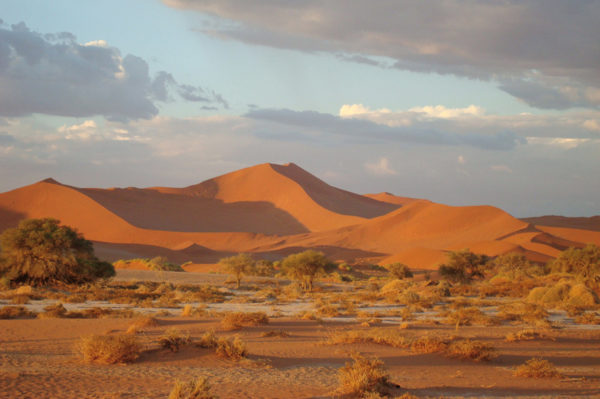 11-Tage-Erlebnisreise Namibia 2020 / 2021 | Tinta Tours Erlebnisreisen