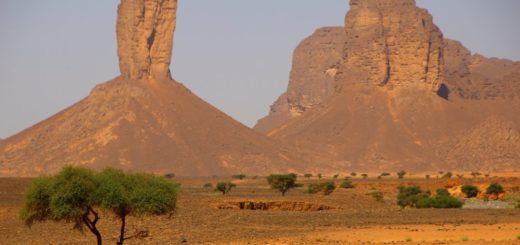 Afara - das Monument Valley Algeriens 2021 | Erlebnisrundreisen.de