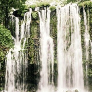 Costa Rica naturnah erwandern Gruppenreise 2020/2021