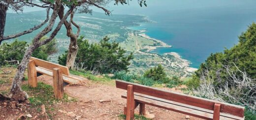 Silvester auf Zypern für Alleinreisende Gruppenreise 2020/2021