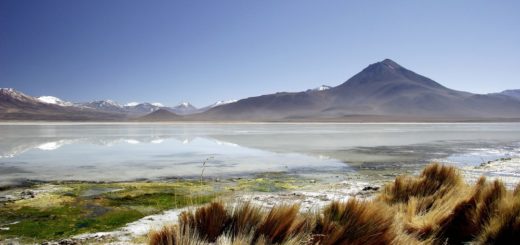 Hochlandlagune Atacamawüste ChileHochland Lagune Atacama Chile 2 2021 | Erlebnisrundreisen.de