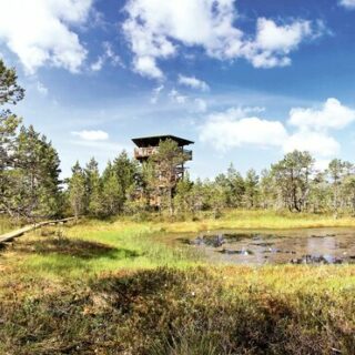Das Baltikum gemütlich erwandern Gruppenreise 2020/2021 Baltikum