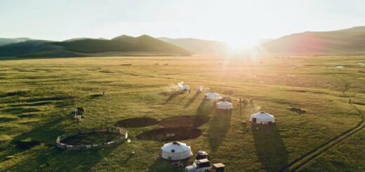 Mongolei - von der Taiga in die Wüste Gruppenreise 2020/2021