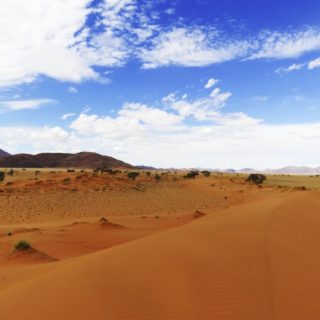 Farbenprächtige Namib Wüste 2021 | Erlebnisrundreisen.de