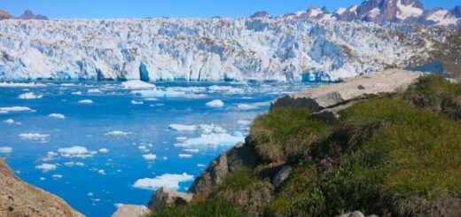 Am Knud-Rasmussen-Gletscher 2021 | Erlebnisrundreisen.de