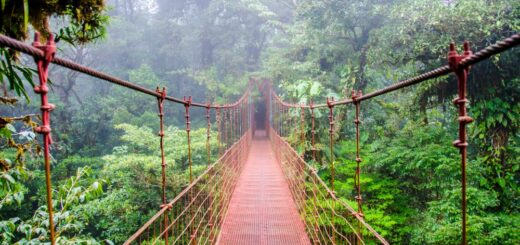 Costa Rica - Brücke im Regenwald 2021 | Erlebnisrundreisen.de