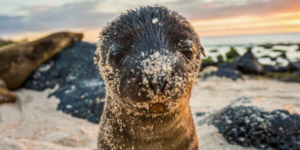 Ecuador Segelreise | Tinta Tours Erlebnisreisen