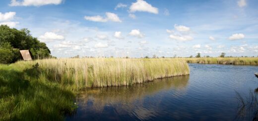 Rundreise Botswana: Höhepunkte mit Caprivi & Victoria-Fällen 2022 | Erlebnisrundreisen.de