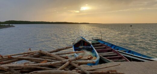 Sonnenuntergang Gambia-Fluss Reise Sonnenuntergang Gambia-Fluss 2021/2022