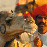 Rundreise Indien: Höhepunkte Rajasthans 2022 | Erlebnisrundreisen.de