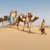 Rundreise Indien: Rajasthan & Nordindien – Die ausführliche Reise 2022 | Erlebnisrundreisen.de