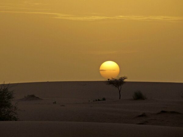 Abendstimming in der Wüste Mauretaniens