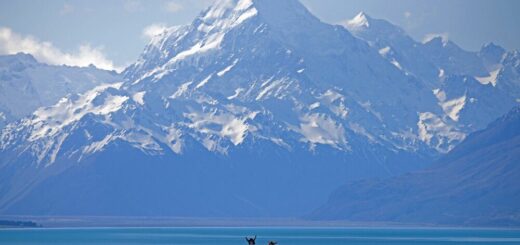 Der höchste Berg Neuseelands, der Aoraki (Mount Cook) in den Neuseeländischen Alpen, Südlichen Alpen oder oft auch Südalpen der Südinsel Neuseelands Reise Der höchste Berg Neuseelands, der Aoraki (Mount Cook) in den Neuseeländischen Alpen, Südlichen Alpen oder oft auch Südalpen der Südinsel Neuseelands 2021/2022