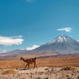 Rundreise Peru, Bolivien & Chile: Die ausführliche Reise 2022 | Erlebnisrundreisen.de