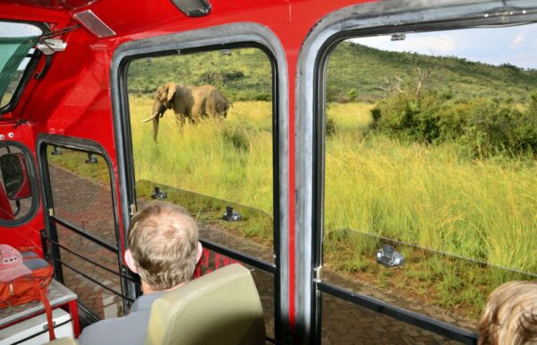 Auf Pirschfahrt im Safaritruck durch den Krüger-Nationalpark