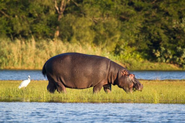 Rundreise Südafrika: Höhepunkte im Norden 2022 | Erlebnisrundreisen.de