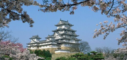Burg Shirasagi-jo in Himeji zur Kirschblüte Reise Burg Shirasagi-jo in Himeji zur Kirschblüte 2022/2023