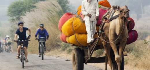 Auf zwei Raedern in Rajasthan_2 2021 | Erlebnisrundreisen.de