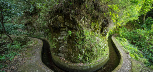 Levada dos Tornos - Dominik Ketz