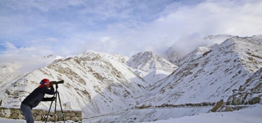 Schneeleopardenprisch in Ladakh Reise Schneeleopardenprisch in Ladakh 2022/2023