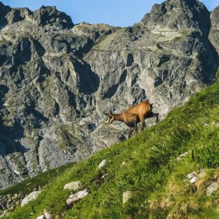 Hohe Tatra_1370722 2 2021 | Erlebnisrundreisen.de