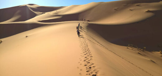 Hoch hinaus in der Erg Chebbi Wüste - Anja Riemann
