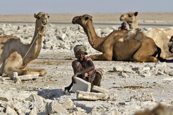 Salzstemmer in der Danakil-Wüste