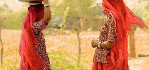 Rundreise in der Mini-Gruppe von den Höhepunkten Rajasthans bis ins Herz von Old Delhi