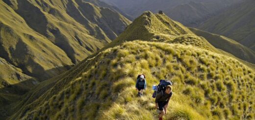 Neuseelands schönste Trekkingtouren erleben Reise Neuseelands schönste Trekkingtouren erleben 2022/2023