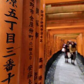 Japan deutschsprachig gefuehrte Studienreisen 2024  | Tinta Tours Erlebnisreisen