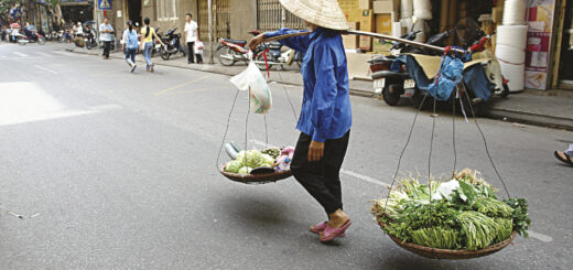 Vietnam 16-Tage-Tour Erlebnisreisen Vietnam optimal