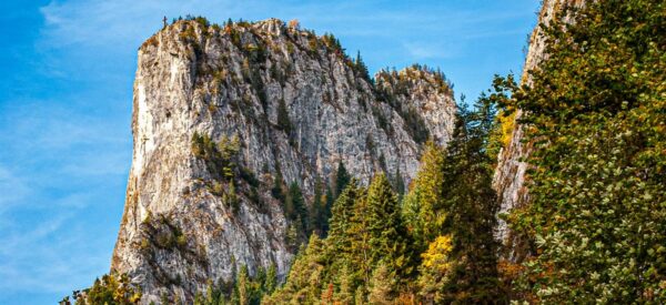 Felsspitzen in der Bicaz Klamm