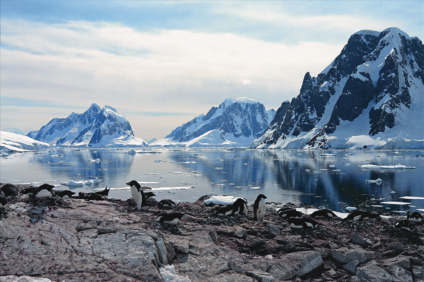 Antarktis Gruppenreisen 2023| Erlebnisrundreisen.de