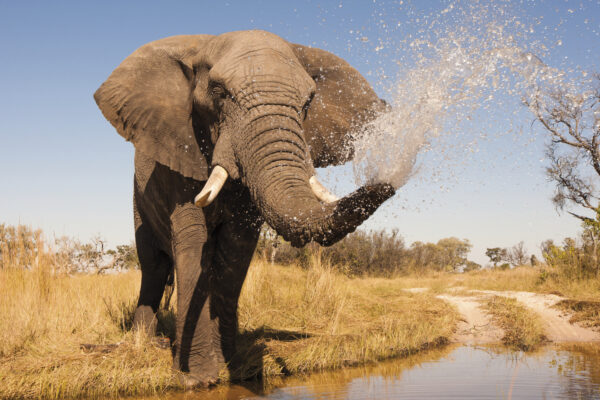 Botswana Gruppenreisen 2023| Erlebnisrundreisen.de