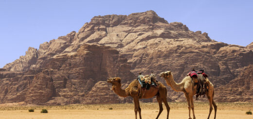 Jordanien 8-Tage Tour Erlebnisreisen Jordaniens Schätze privat entdecken