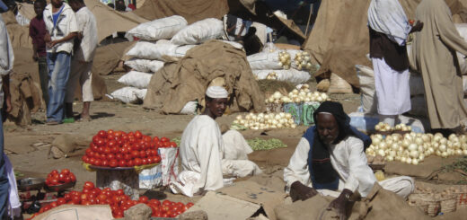 Sudan 13-Tage-Tour Expeditionen Sudan - auf den Spuren der schwarzen Pharaonen