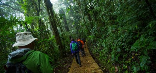 Costa Rica Gruppenreise | Tinta Tours Erlebnisreisen