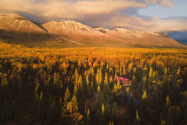 Goldener Herbst im Yukon