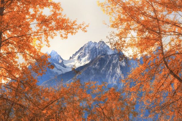 Herbstlaub rahmt die Gipfel des Kluane NP ein